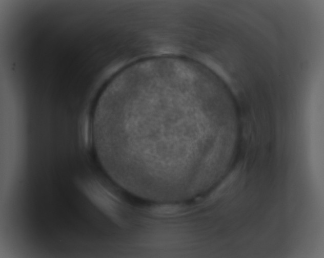 X0000100901171200807081056