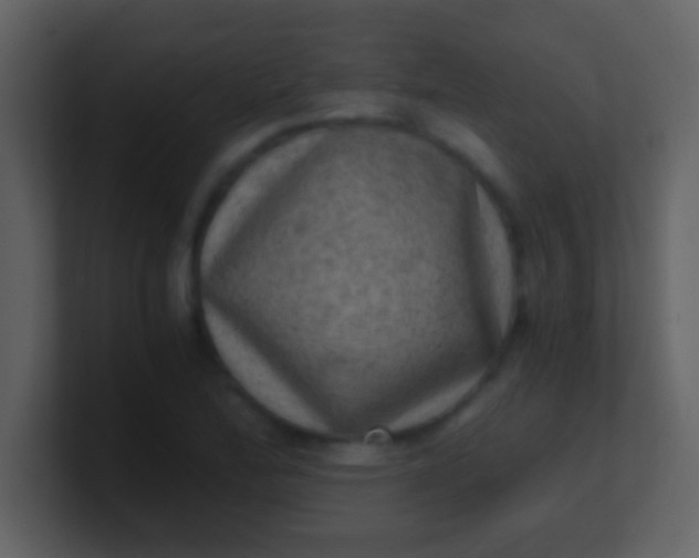 X0000100901172200807081056