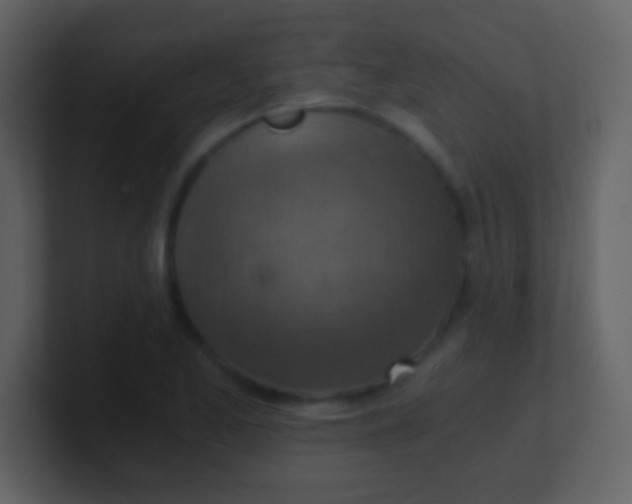 X0000100901173200807081056