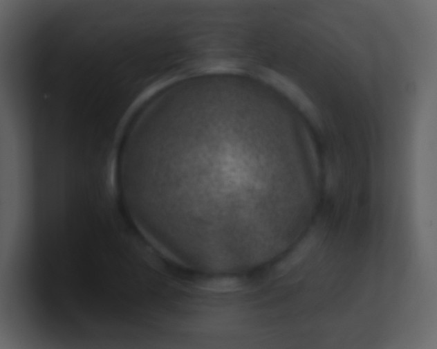 X0000100901174200807081056