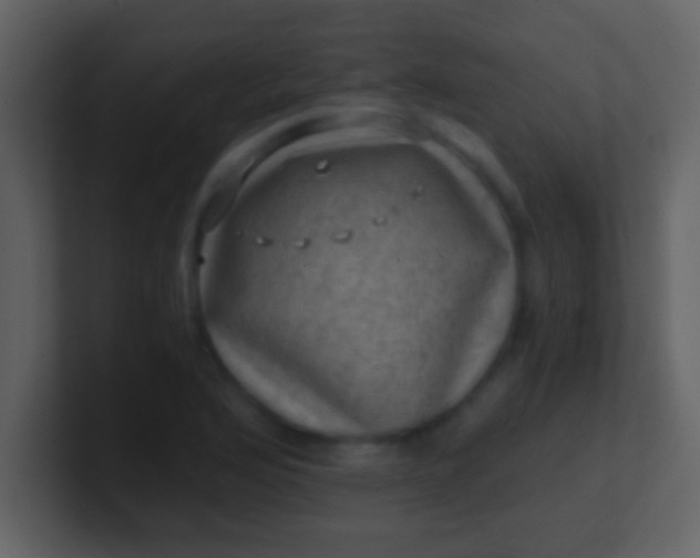 X0000100901176200807081056