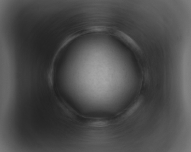 X0000100901178200807081056