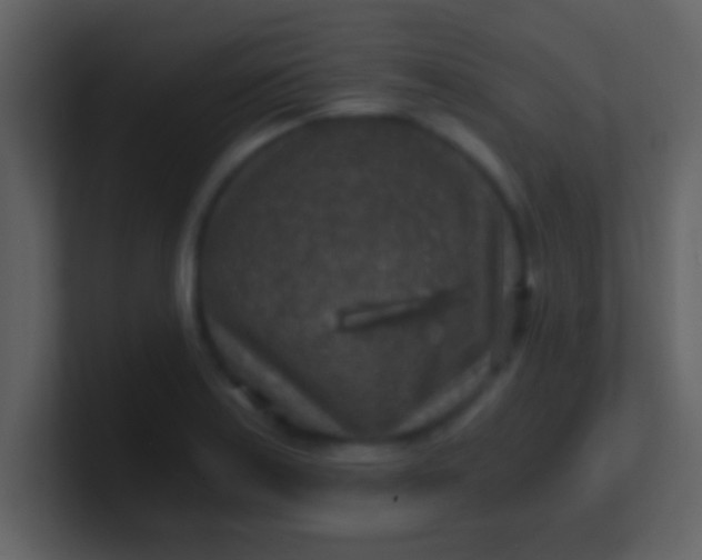 X0000100901179200807081056