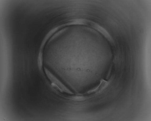 X0000100901180200807081056