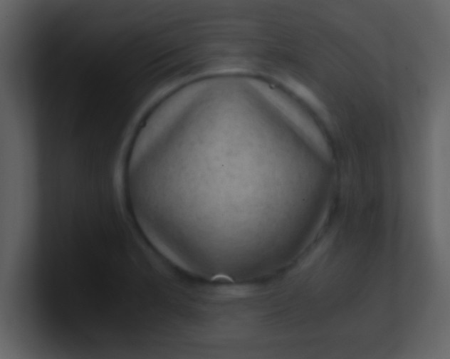 X0000100901181200807081056