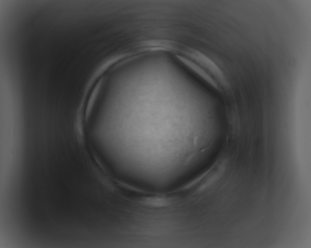 X0000100901182200807081056