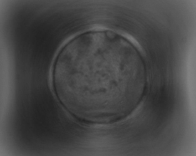 X0000100901183200807081056