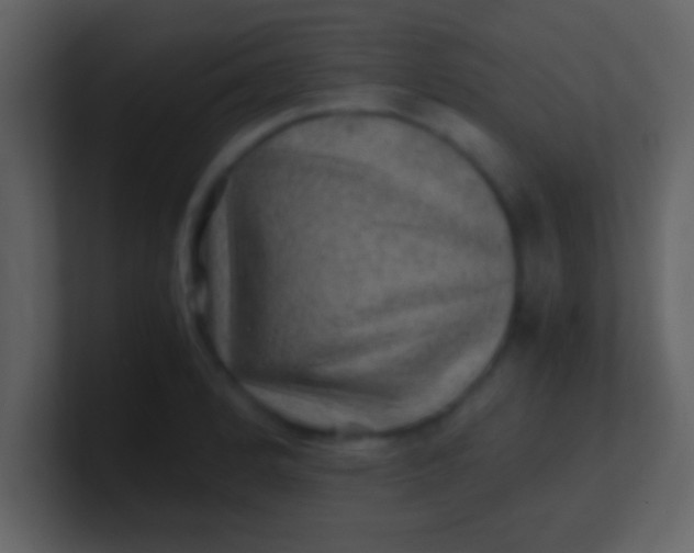 X0000100901184200807081056