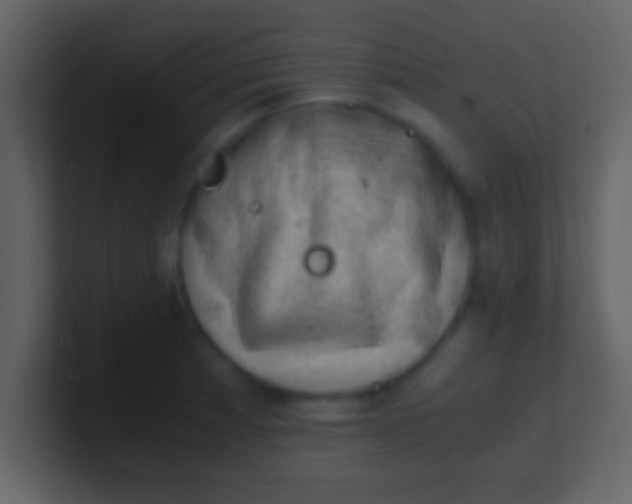 X0000100901185200807081056