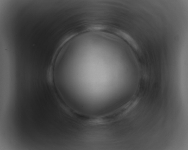 X0000100901186200807081056