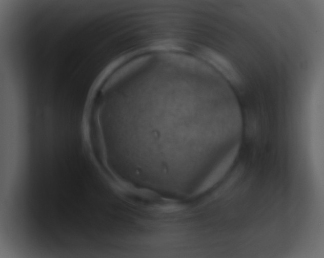 X0000100901188200807081056