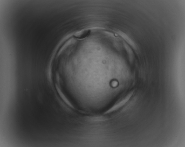 X0000100901189200807081056