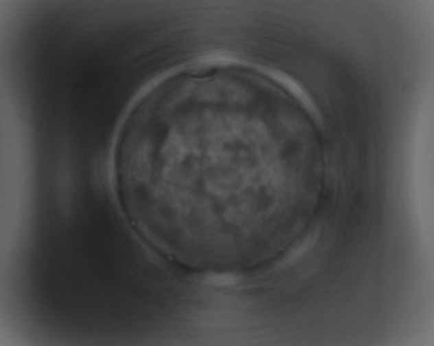 X0000100901191200807081056