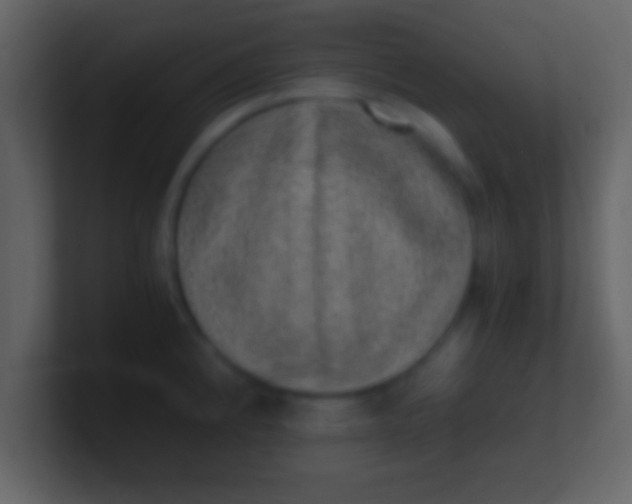 X0000100901192200807081056