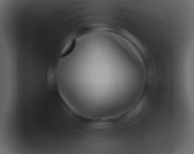 X0000100901193200807081056