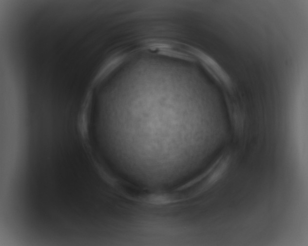 X0000100901194200807081056