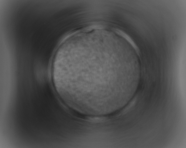 X0000100901195200807081056