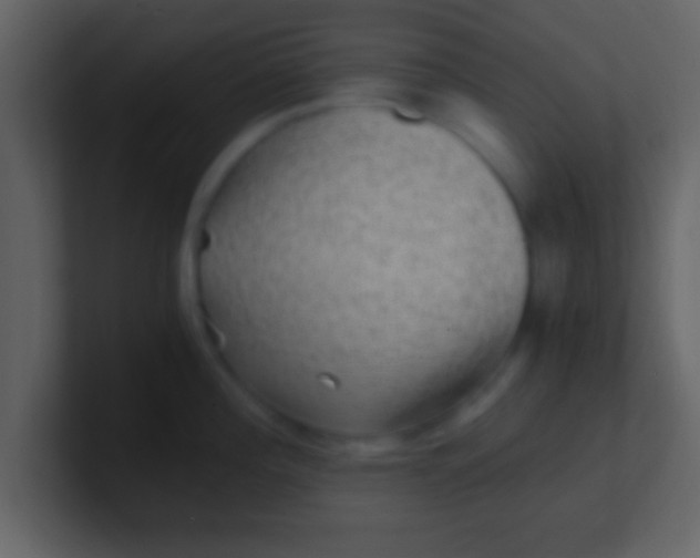 X0000100901196200807081056