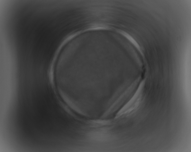 X0000100901197200807081056