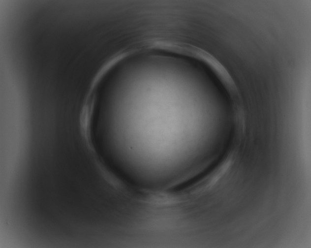 X0000100901198200807081056