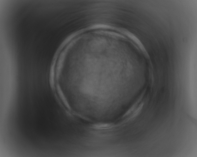 X0000100901199200807081056