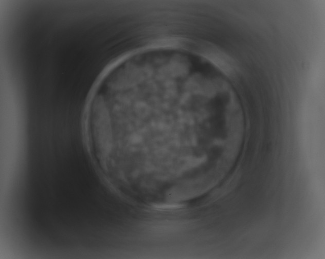 X0000100901200200807081056