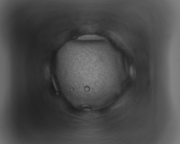 X0000100901203200807081055