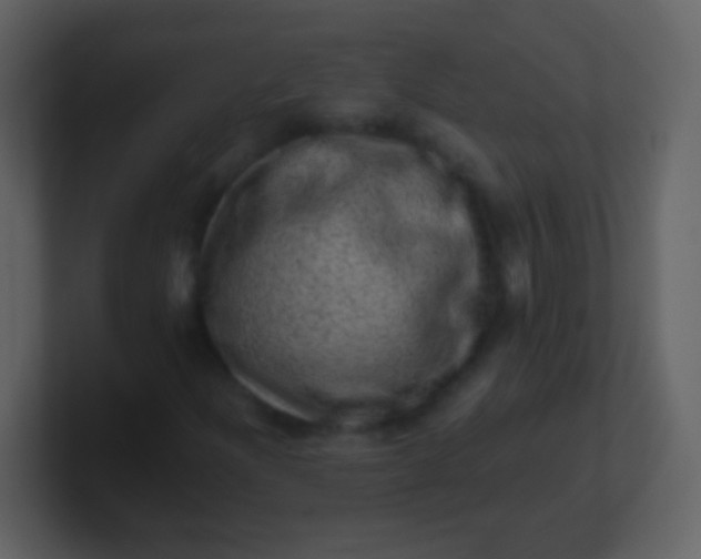 X0000100901204200807081055