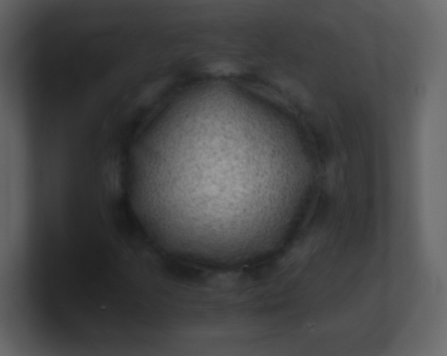 X0000100901205200807081055