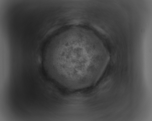 X0000100901206200807081055