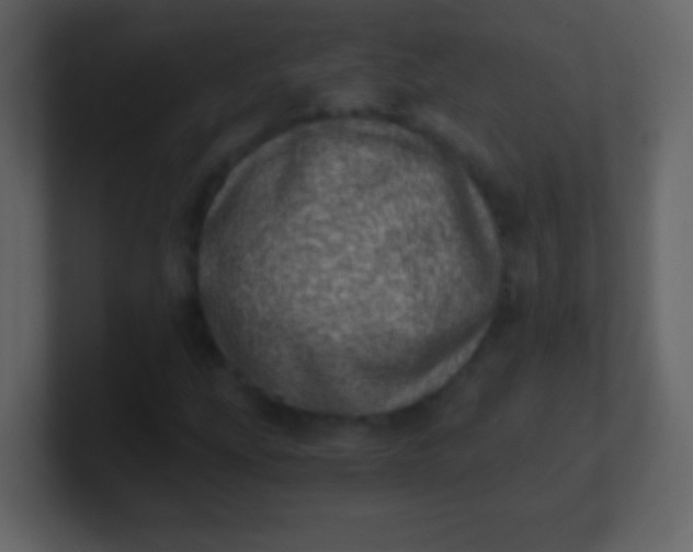 X0000100901207200807081055