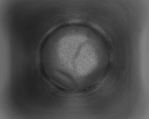 X0000100901208200807081055