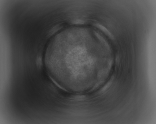 X0000100901209200807081055