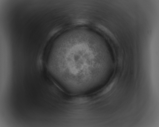 X0000100901210200807081055