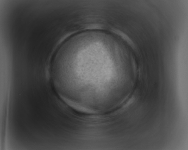 X0000100901212200807081055