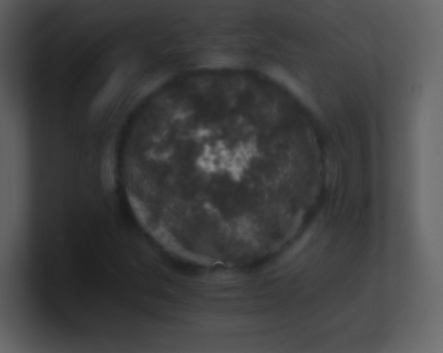 X0000100901213200807081055