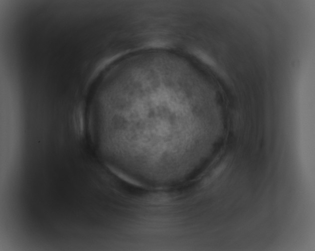 X0000100901214200807081055