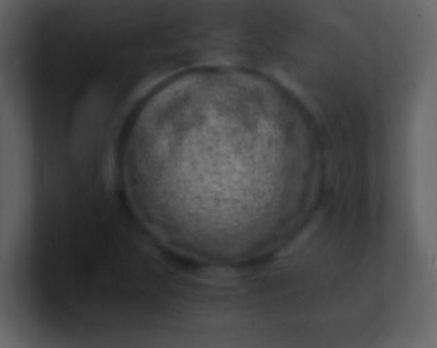 X0000100901215200807081055