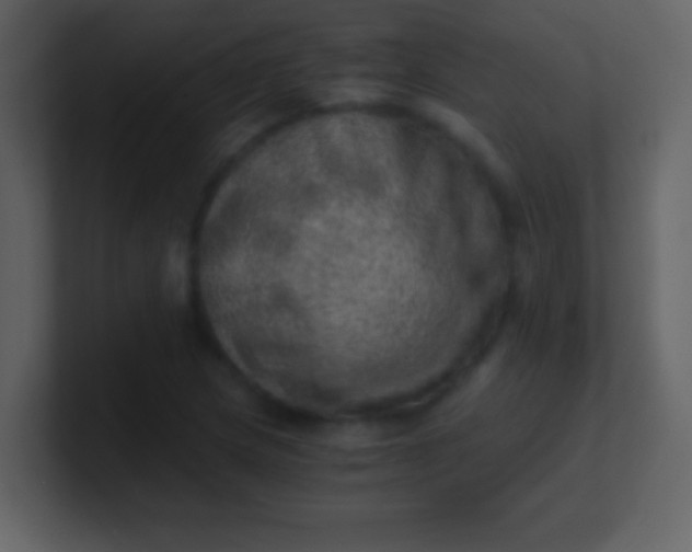 X0000100901217200807081055