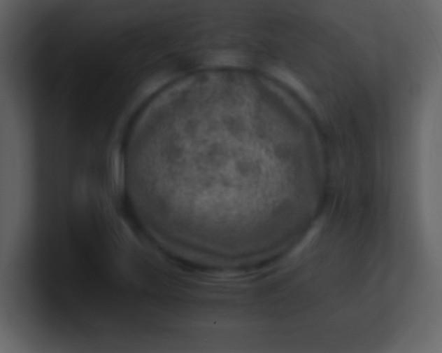 X0000100901219200807081055