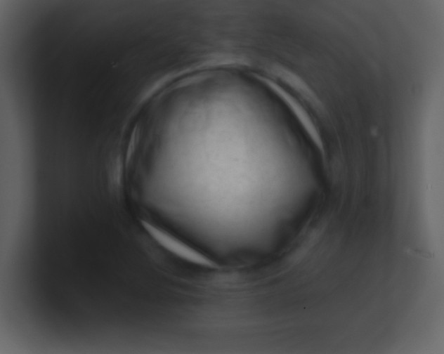 X0000100901220200807081055