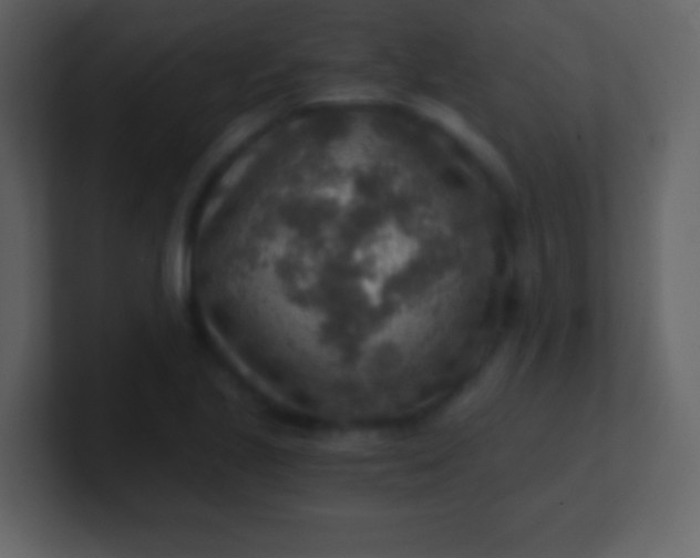 X0000100901221200807081055