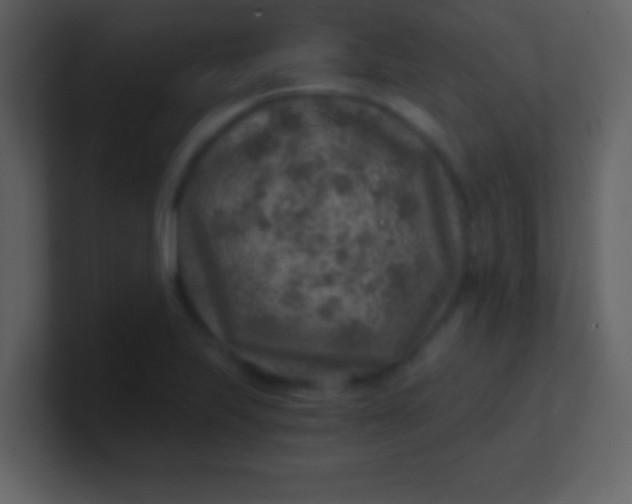 X0000100901223200807081055