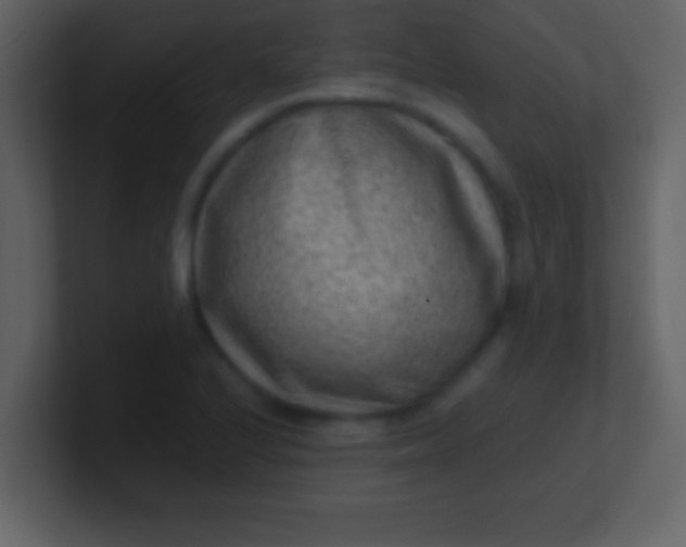 X0000100901224200807081055