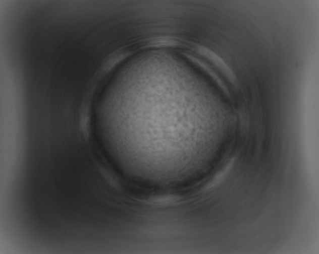 X0000100901225200807081055