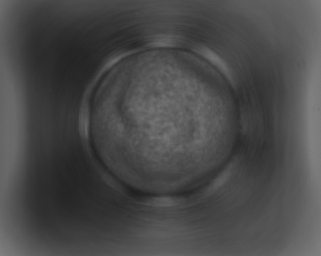 X0000100901227200807081055