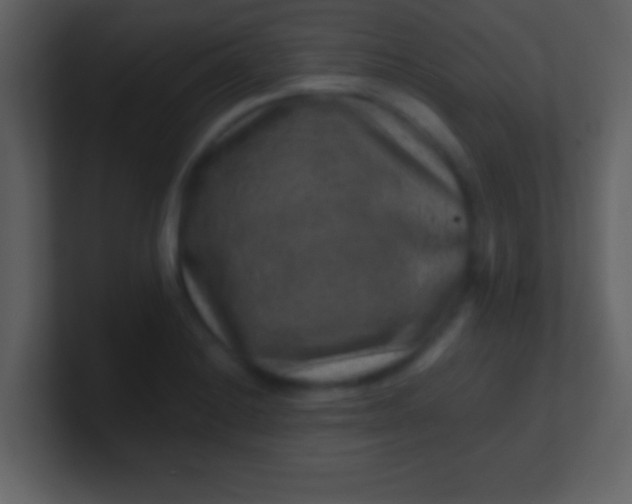 X0000100901228200807081055