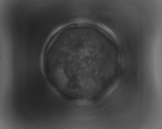 X0000100901231200807081055