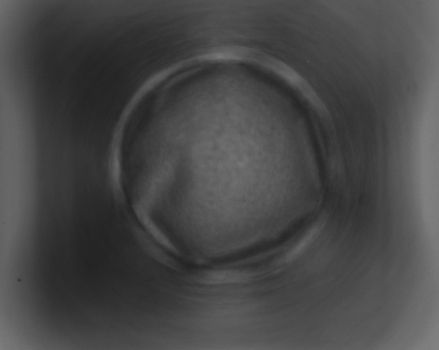 X0000100901232200807081055