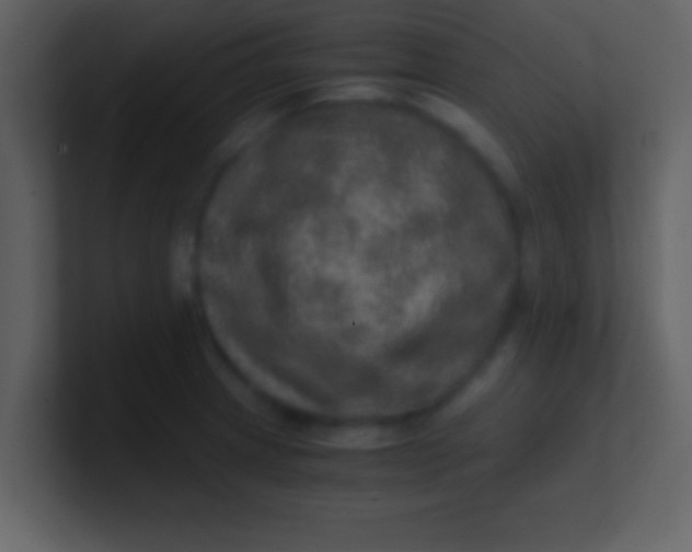 X0000100901233200807081055